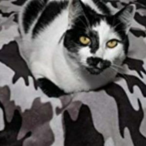 Meet your Posher, Dana